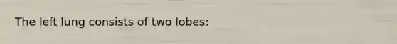 The left lung consists of two lobes: