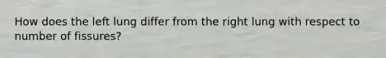 How does the left lung differ from the right lung with respect to number of fissures?