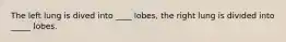 The left lung is dived into ____ lobes, the right lung is divided into _____ lobes.