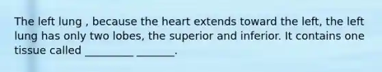 The left lung , because the heart extends toward the left, the left lung has only two lobes, the superior and inferior. It contains one tissue called _________ _______.