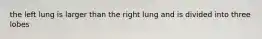 the left lung is larger than the right lung and is divided into three lobes
