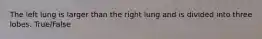 The left lung is larger than the right lung and is divided into three lobes. True/False