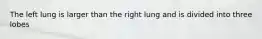 The left lung is larger than the right lung and is divided into three lobes
