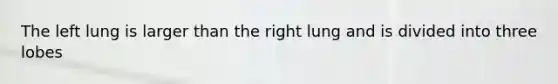 The left lung is larger than the right lung and is divided into three lobes