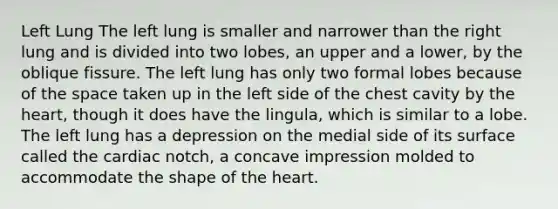 Left Lung The left lung is smaller and narrower than the right lung and is divided into two lobes, an upper and a lower, by the oblique fissure. The left lung has only two formal lobes because of the space taken up in the left side of the chest cavity by the heart, though it does have the lingula, which is similar to a lobe. The left lung has a depression on the medial side of its surface called the cardiac notch, a concave impression molded to accommodate the shape of the heart.