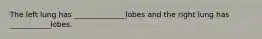 The left lung has ______________lobes and the right lung has ___________lobes.