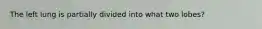 The left lung is partially divided into what two lobes?