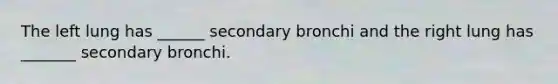 The left lung has ______ secondary bronchi and the right lung has _______ secondary bronchi.