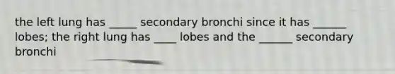 the left lung has _____ secondary bronchi since it has ______ lobes; the right lung has ____ lobes and the ______ secondary bronchi