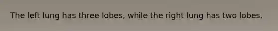 The left lung has three lobes, while the right lung has two lobes.