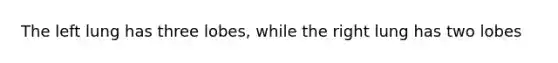 The left lung has three lobes, while the right lung has two lobes