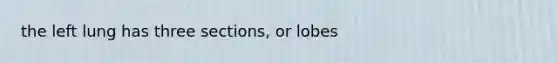 the left lung has three sections, or lobes