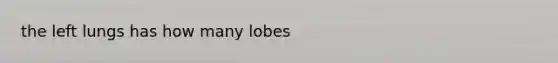 the left lungs has how many lobes