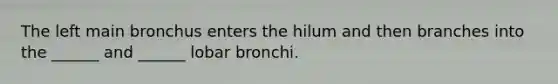 The left main bronchus enters the hilum and then branches into the ______ and ______ lobar bronchi.