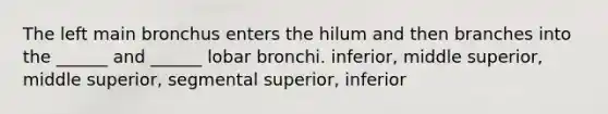 The left main bronchus enters the hilum and then branches into the ______ and ______ lobar bronchi. inferior, middle superior, middle superior, segmental superior, inferior