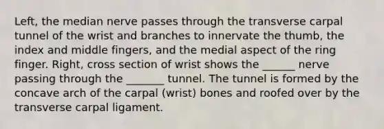 Left, the median nerve passes through the transverse carpal tunnel of the wrist and branches to innervate the thumb, the index and middle fingers, and the medial aspect of the ring finger. Right, cross section of wrist shows the ______ nerve passing through the _______ tunnel. The tunnel is formed by the concave arch of the carpal (wrist) bones and roofed over by the transverse carpal ligament.