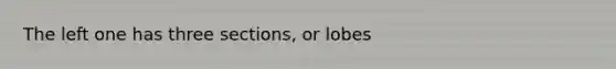 The left one has three sections, or lobes