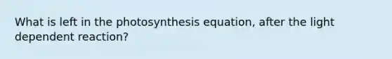 What is left in the photosynthesis equation, after the light dependent reaction?