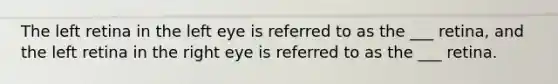 The left retina in the left eye is referred to as the ___ retina, and the left retina in the right eye is referred to as the ___ retina.