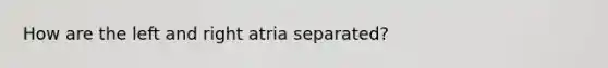 How are the left and right atria separated?