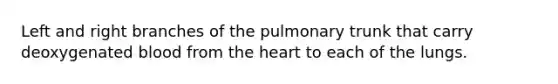 Left and right branches of the pulmonary trunk that carry deoxygenated blood from the heart to each of the lungs.