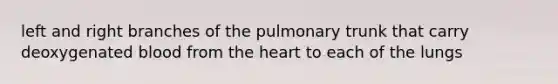 left and right branches of the pulmonary trunk that carry deoxygenated blood from <a href='https://www.questionai.com/knowledge/kya8ocqc6o-the-heart' class='anchor-knowledge'>the heart</a> to each of the lungs