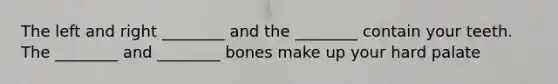 The left and right ________ and the ________ contain your teeth. The ________ and ________ bones make up your hard palate