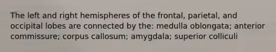 The left and right hemispheres of the frontal, parietal, and occipital lobes are connected by the: medulla oblongata; anterior commissure; corpus callosum; amygdala; superior colliculi