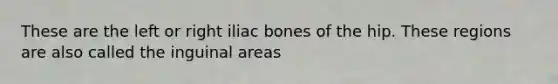 These are the left or right iliac bones of the hip. These regions are also called the inguinal areas