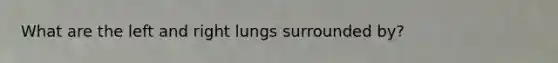 What are the left and right lungs surrounded by?