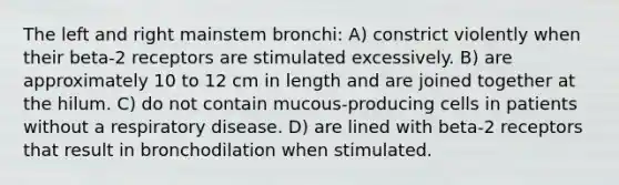 The left and right mainstem bronchi: A) constrict violently when their beta-2 receptors are stimulated excessively. B) are approximately 10 to 12 cm in length and are joined together at the hilum. C) do not contain mucous-producing cells in patients without a respiratory disease. D) are lined with beta-2 receptors that result in bronchodilation when stimulated.