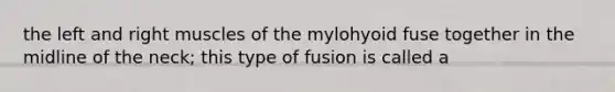 the left and right muscles of the mylohyoid fuse together in the midline of the neck; this type of fusion is called a