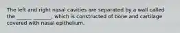 The left and right nasal cavities are separated by a wall called the ______ _______, which is constructed of bone and cartilage covered with nasal epithelium.
