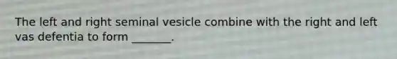 The left and right seminal vesicle combine with the right and left vas defentia to form _______.