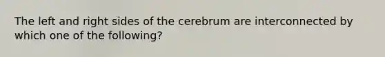 The left and right sides of the cerebrum are interconnected by which one of the following?