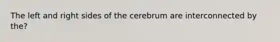 The left and right sides of the cerebrum are interconnected by the?