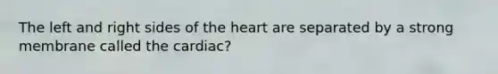 The left and right sides of the heart are separated by a strong membrane called the cardiac?