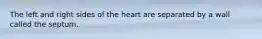 The left and right sides of the heart are separated by a wall called the septum.