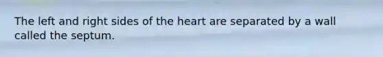 The left and right sides of <a href='https://www.questionai.com/knowledge/kya8ocqc6o-the-heart' class='anchor-knowledge'>the heart</a> are separated by a wall called the septum.