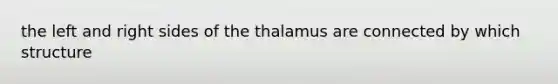 the left and right sides of the thalamus are connected by which structure