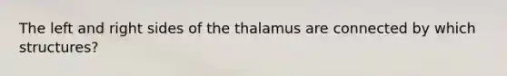 The left and right sides of the thalamus are connected by which structures?