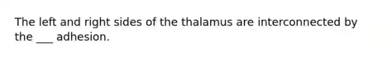 The left and right sides of the thalamus are interconnected by the ___ adhesion.