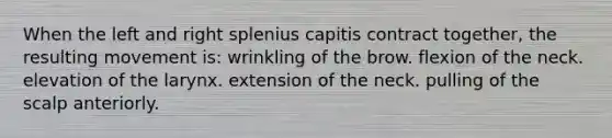 When the left and right splenius capitis contract together, the resulting movement is: wrinkling of the brow. flexion of the neck. elevation of the larynx. extension of the neck. pulling of the scalp anteriorly.