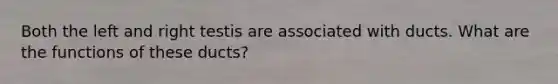 Both the left and right testis are associated with ducts. What are the functions of these ducts?