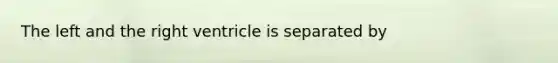 The left and the right ventricle is separated by