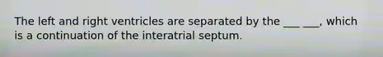 The left and right ventricles are separated by the ___ ___, which is a continuation of the interatrial septum.
