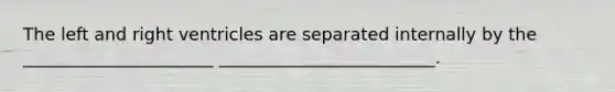 The left and right ventricles are separated internally by the ______________________ _________________________.