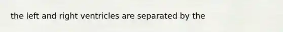the left and right ventricles are separated by the