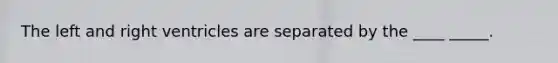 The left and right ventricles are separated by the ____ _____.