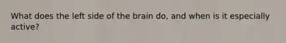 What does the left side of the brain do, and when is it especially active?